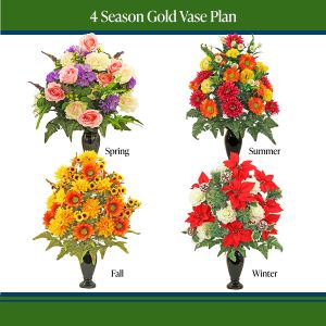 Gold Vase Plan